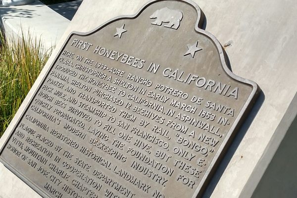 First Honeybees in California