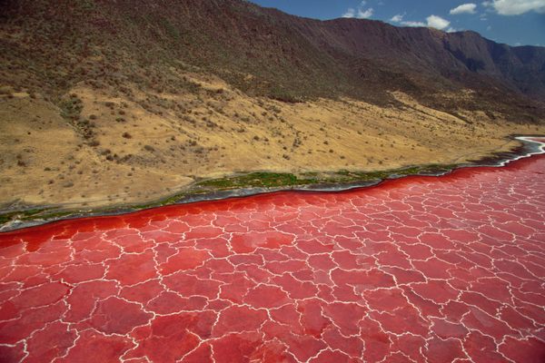 Soda and algae formations near the shore of Lake Natron.