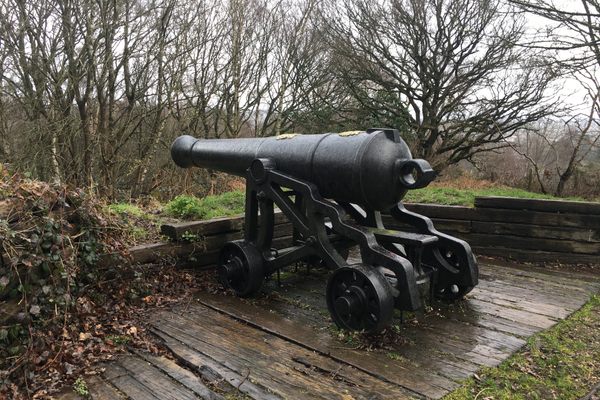 A cannon sits on a wet wooden platform overlooking trees