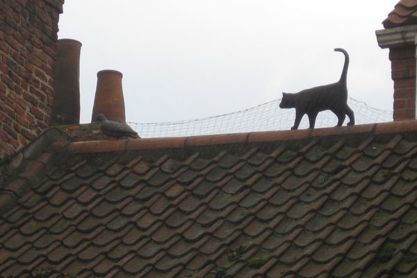 Cat Statues of York