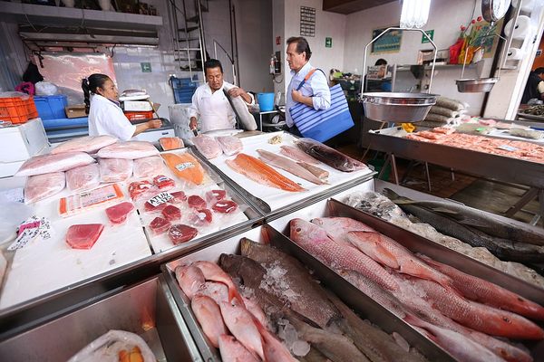 If it comes from the sea, you can get it here.