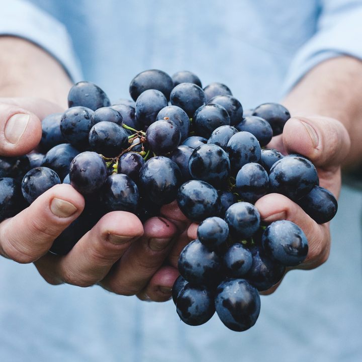 Grapes from the vine.