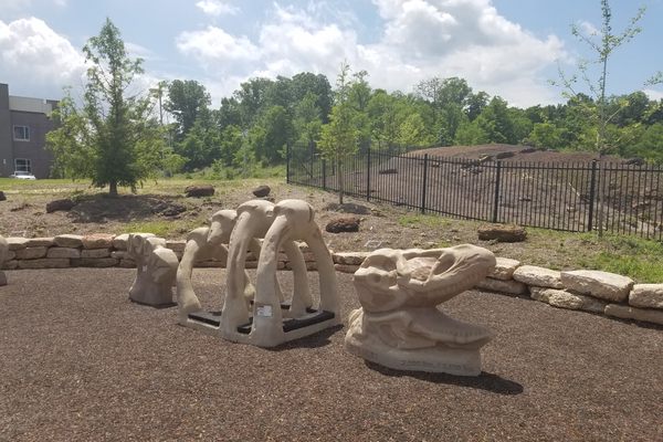 Model of a partial dinosaur skeleton.