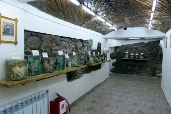 The museum contains two halls, with different types of exhibits. 