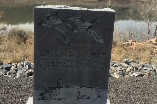 The memorial.