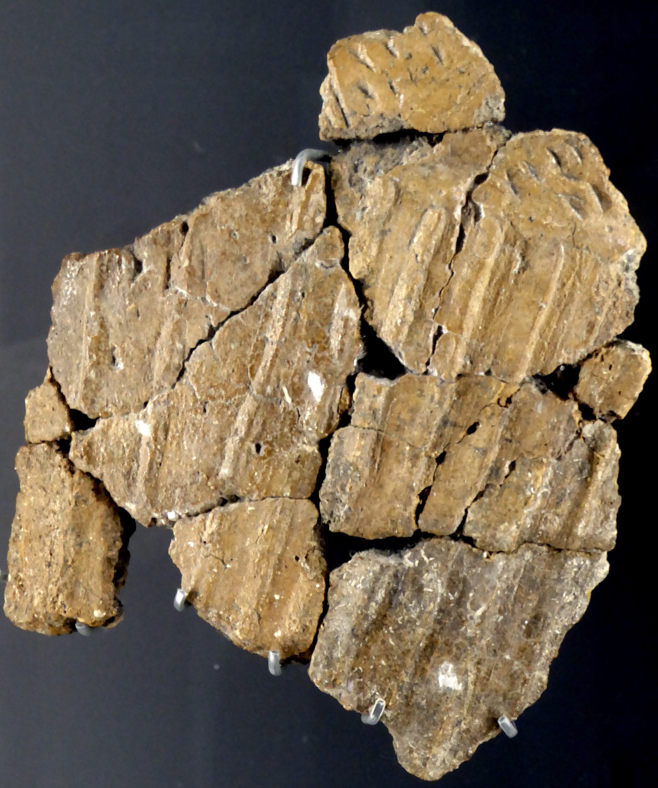 A fragment of grooved ware pottery found near Stonehenge; the style first appeared in Britain far to the north, in the Orkney Islands.