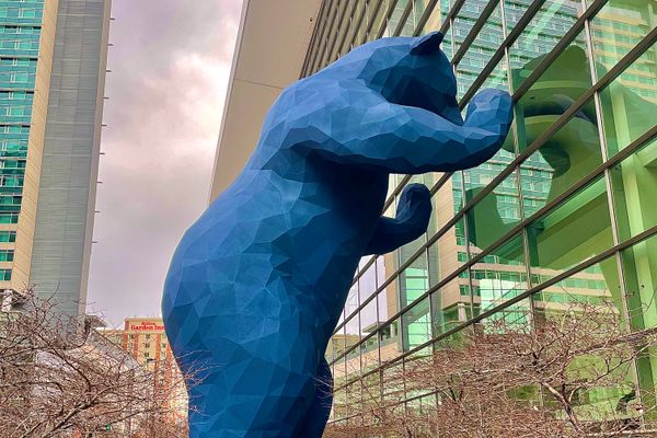 Big Blue Bear