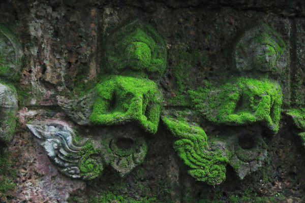 Mythical canaries adorning the ceremonial hall.