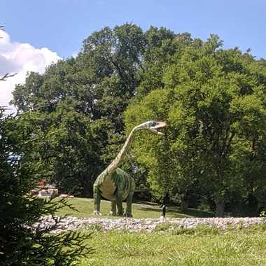 Croc&#8217;s Sculpture Garden