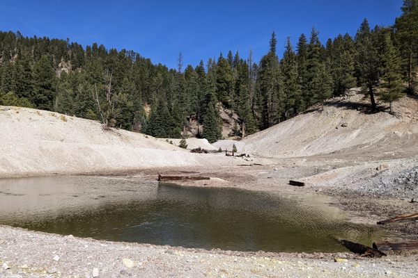 Sulphur Springs
